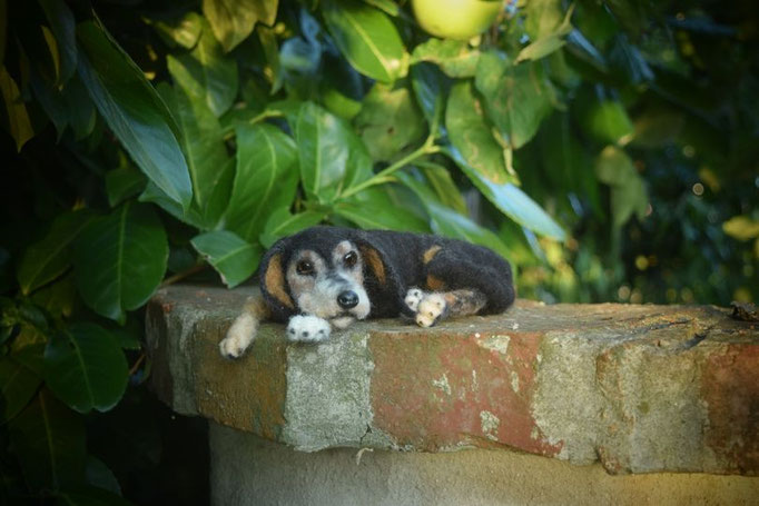 realistisches Hundeportrait aus Wolle handgefilzt liegend