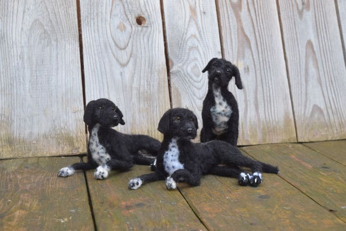 handgefilzte Hunde Gruppe mehrere Hundeportraits aus Wolle realistisch