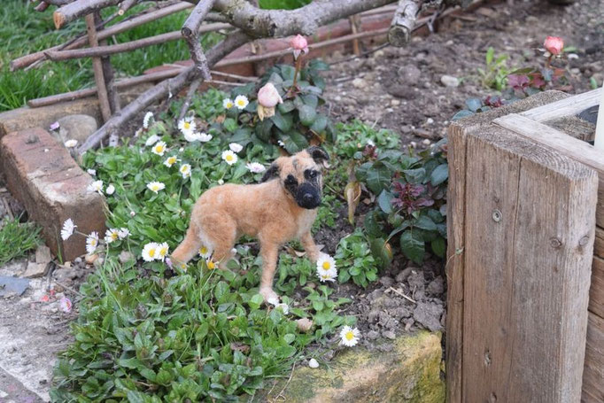 handgefilztes Hundeportrait aus Wolle auf Naturstein im Garten