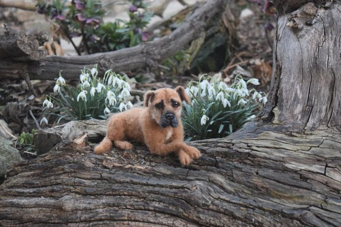 realistisches Hundeportrait aus Wolle handgefilzt im Garten