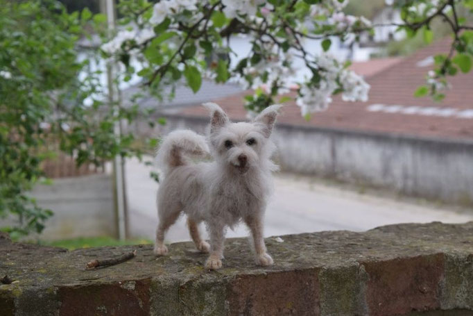 handgefilzte Hundeportraits mehrere Hunde aus Wolle im Garten