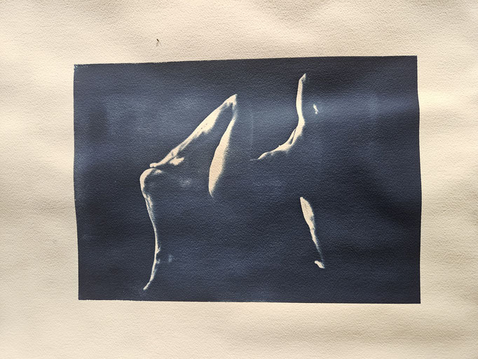 Alive No.2 - Cyanotype, watercolour paper