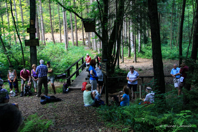 Rast an der Rothbachgrotte