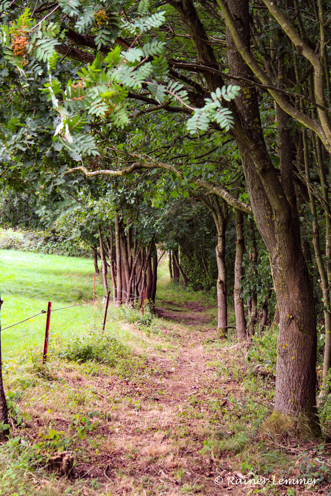 Panorama Rundweg Heuzert SIEBEN FÜNF NULL