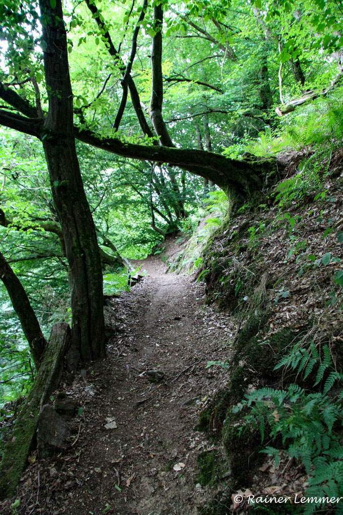 Wissenswertes am Panorama Rundweg Heuzert SIEBEN FÜNF NULL