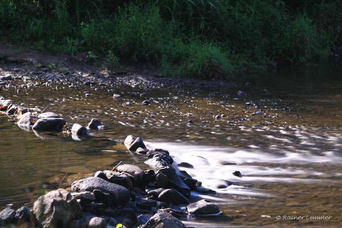 Nister bei Heimborn