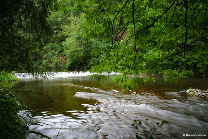 Nister bei Stein-Wingert