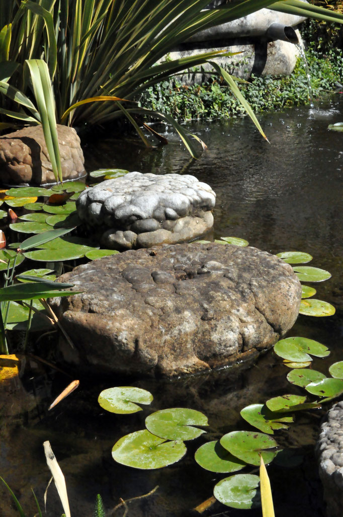 Conception de jardin - F'Chasta