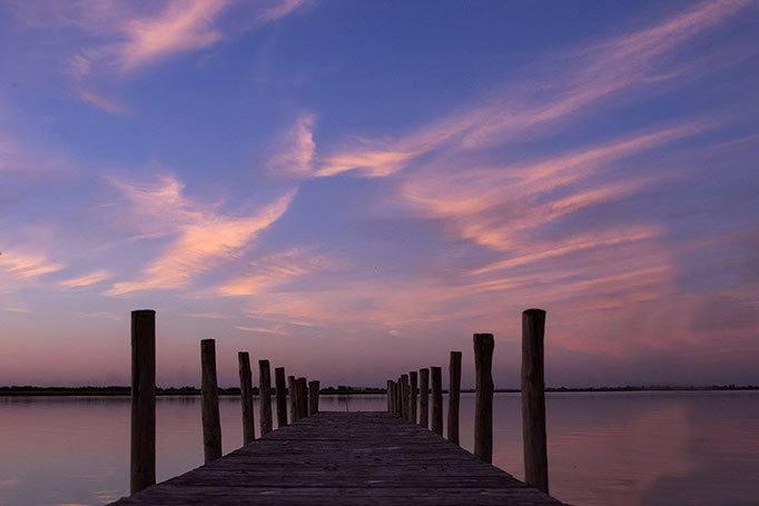 Camargue