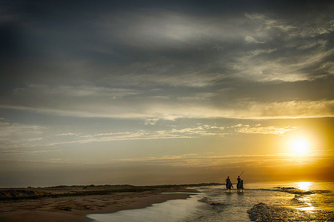 Camargue