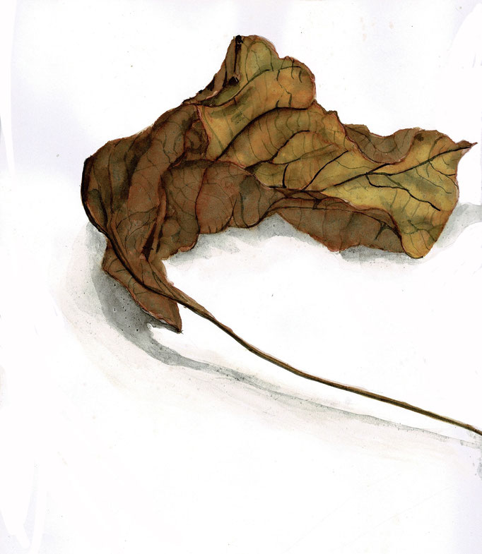 Autumn sketchbook leaf