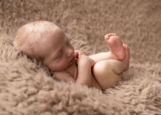 Neugeborene - Newborn - Fotoshooting indoor - Fotografin Neuenhagen