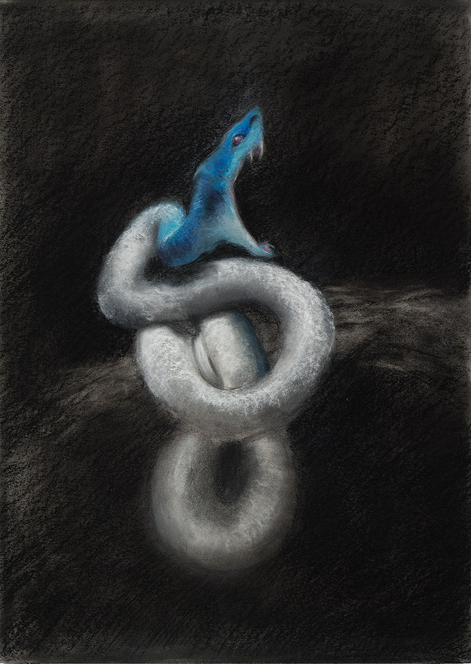 Serpens, 2025  Kohle und Pastell auf Karton    50 x 69 cm (Blatt) 70 x 90 cm (gerahmt)
