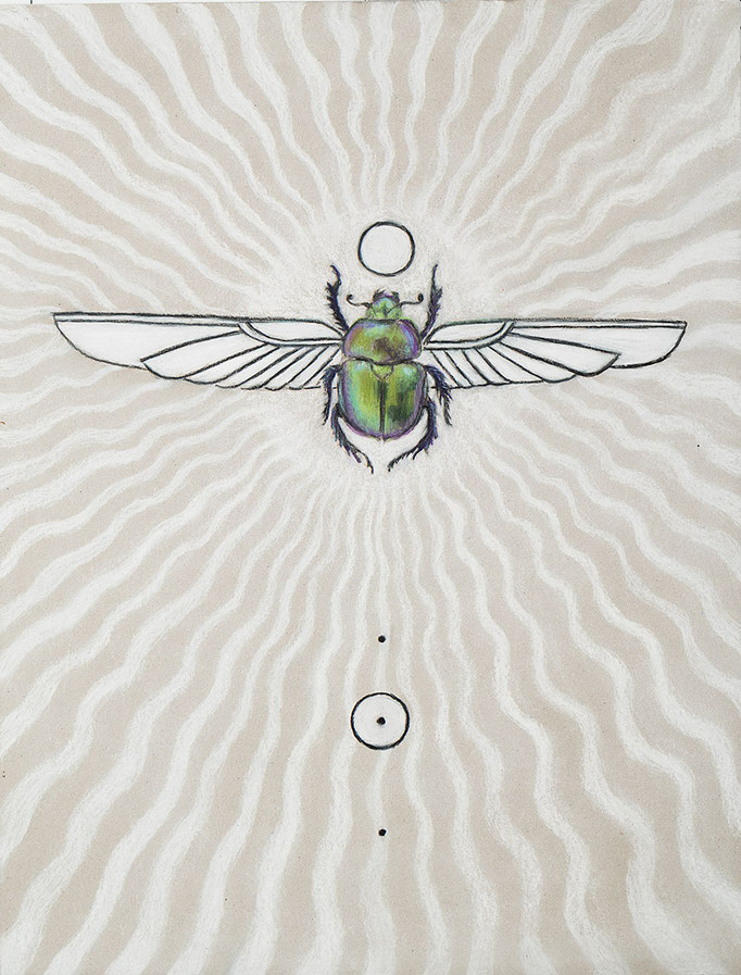 Scarab, 2025  Kohle und Pastell auf Karton    50 x 64 cm (Blatt) 70 x 90 cm (gerahmt)