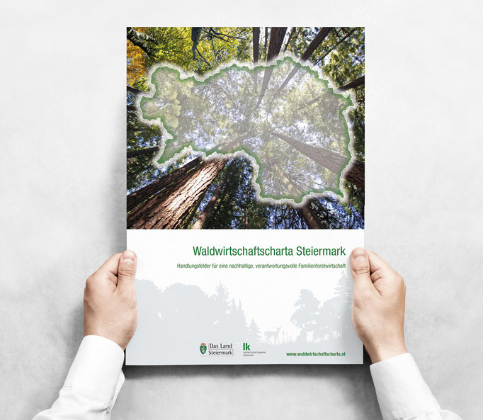 LAND STEIERMARK: Waldwirtschaftscharta Steiermark ©by dunstdesign.at
