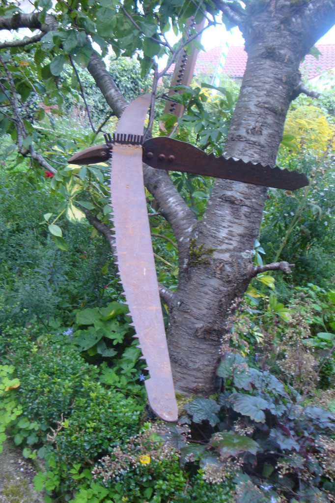Sumpfadler
