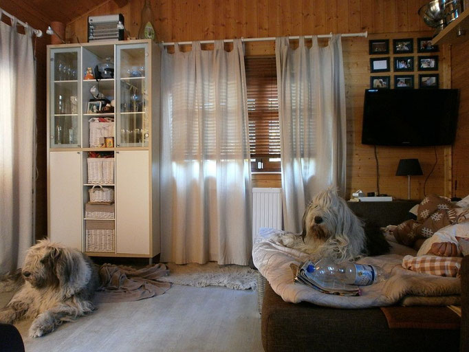 Morning Shot Master Room