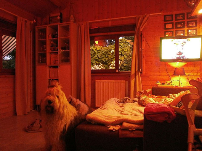 Night Shot Master Room