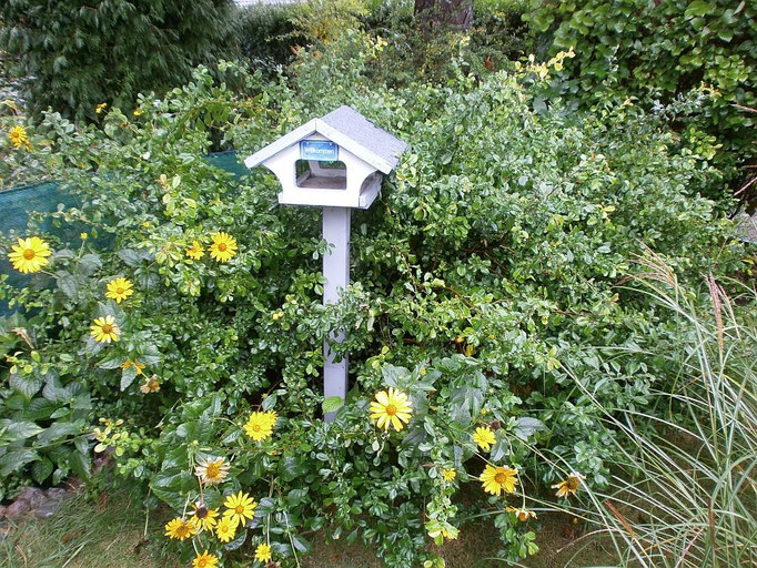 Das Vogelhäuschen