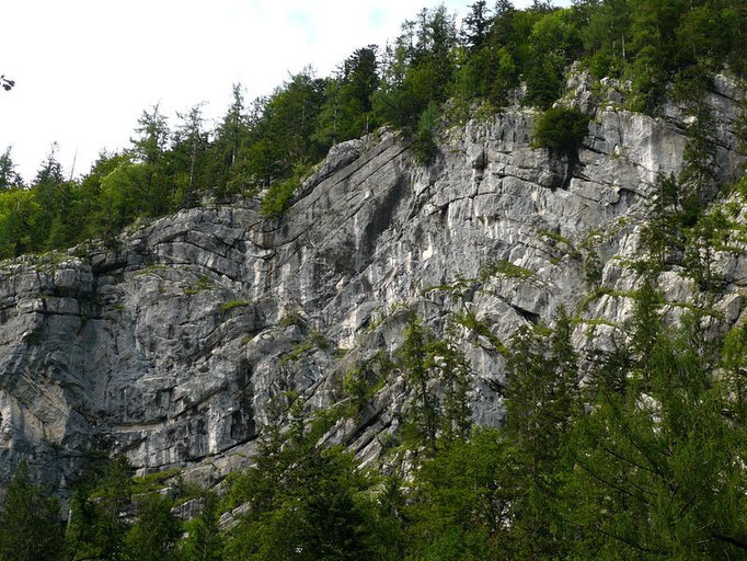 Gewellte Felsbänderungen in der Rettenbach-Schlucht