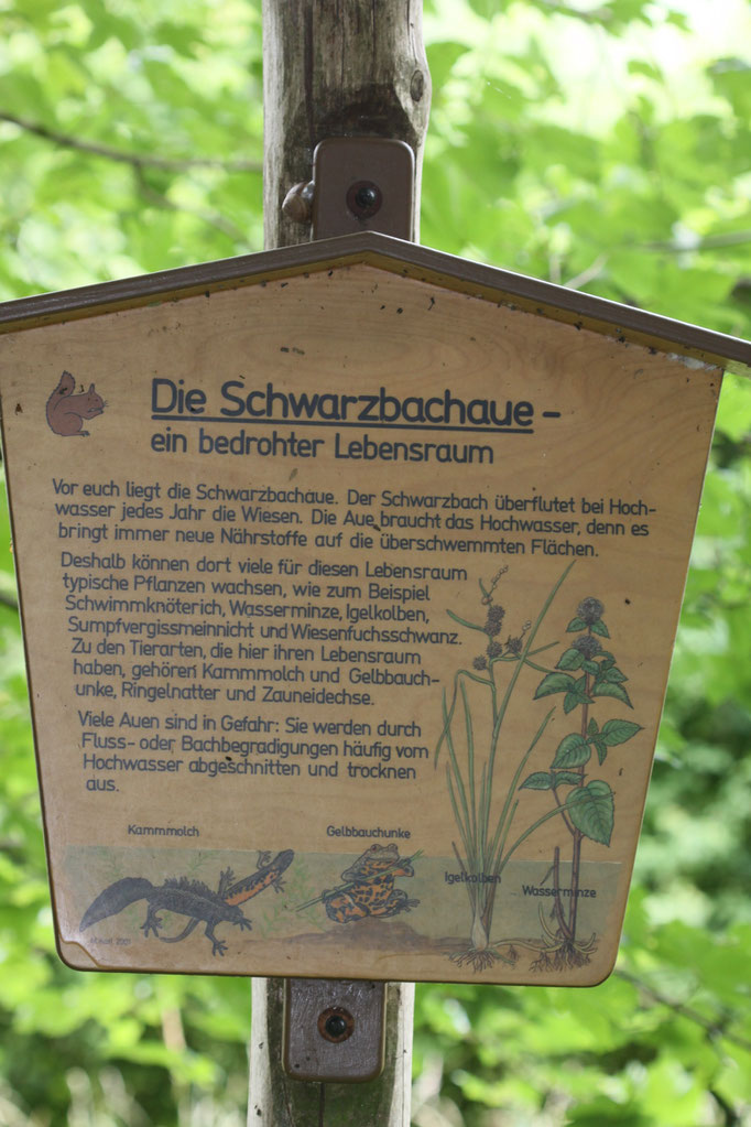 (Foto: B. Budig)