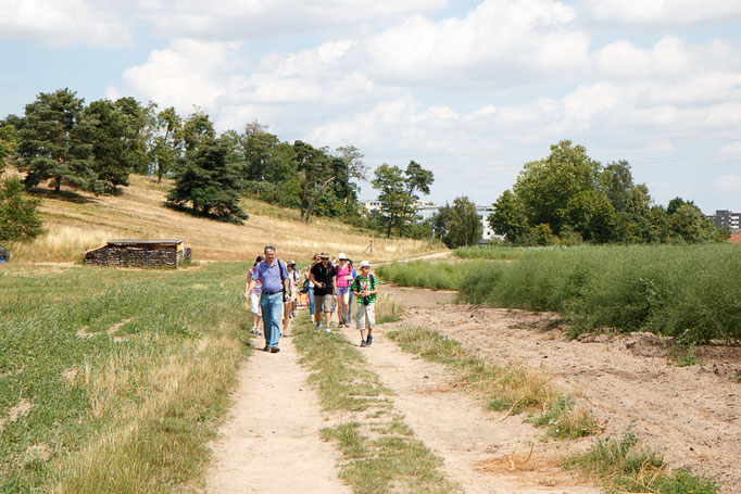 Im Landschaftsschutzgebiet (Foto: B. Budig)