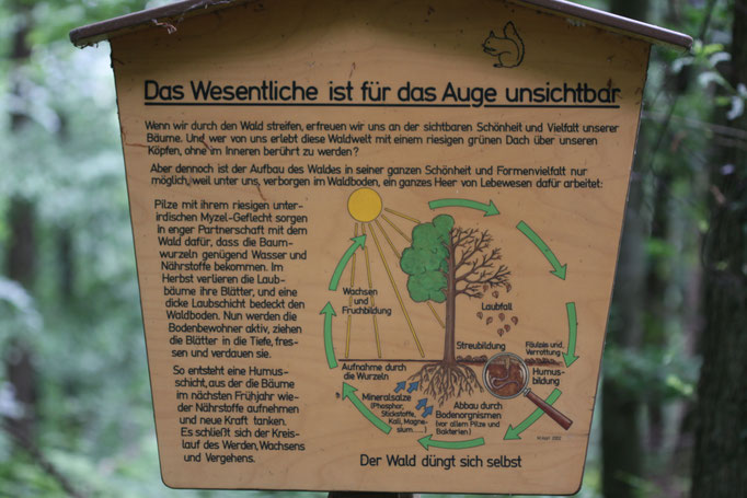 (Foto: B. Budig)