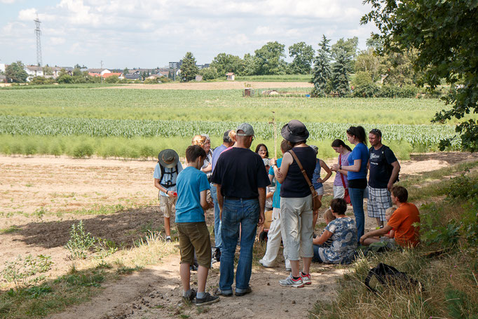 Blick vom Dreieichenbuckel nach Oftersheim (Foto: B. Budig)