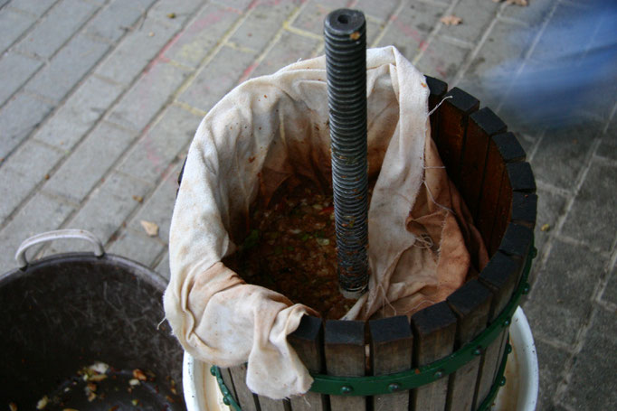 (Foto: B. Budig)