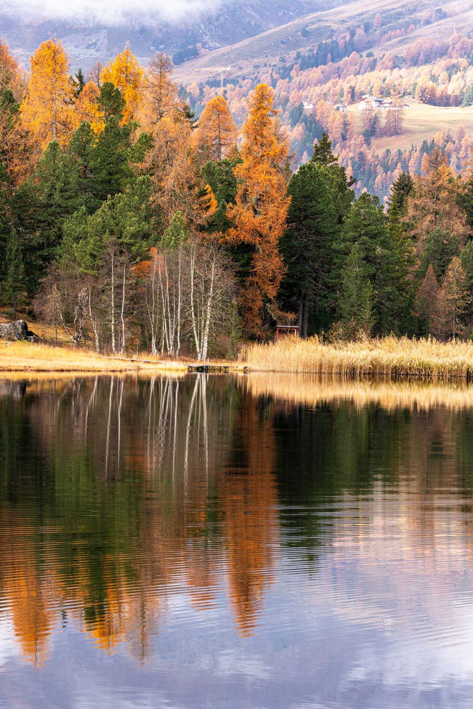 Engadin Herbst ©René Bärtsch