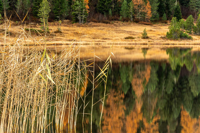 Engadin Herbst ©René Bärtsch