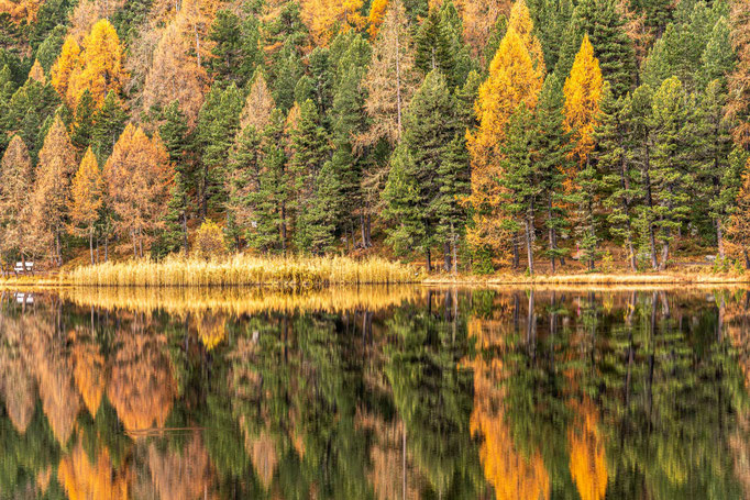 Engadin Herbst ©René Bärtsch