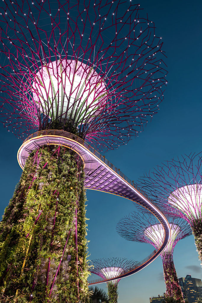 Supertrees at night | Gardens by the Bay - Best Things to do and Places to see in Singapore's Wonder Park