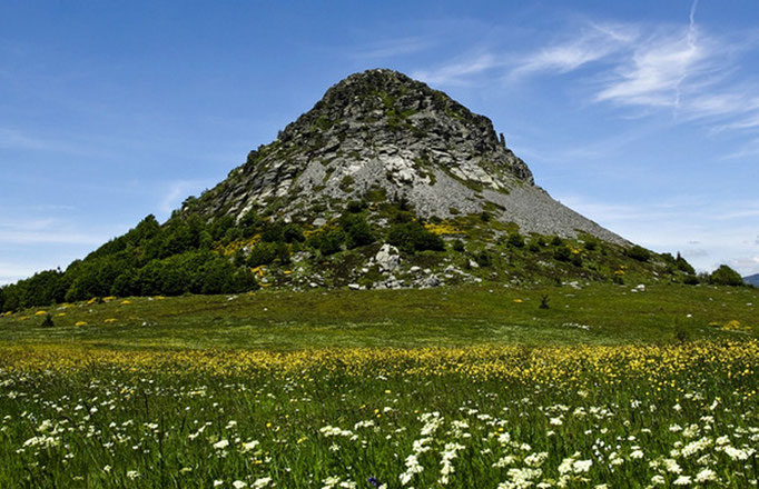 Mont Gerbier de Jonc