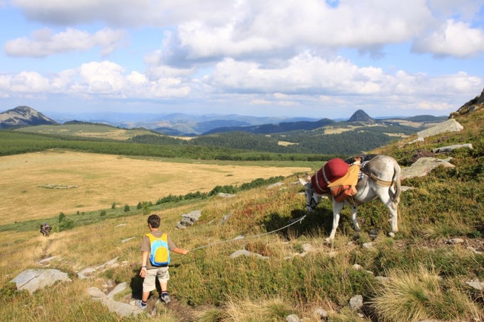 Randonnée avec des ânes