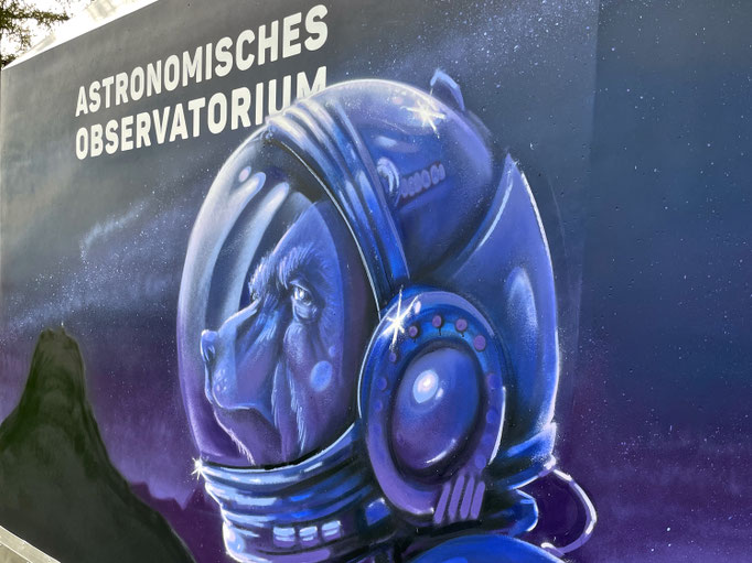 Sternwarte Gurten Park im Grünen - Wandgestaltung - Graffiti