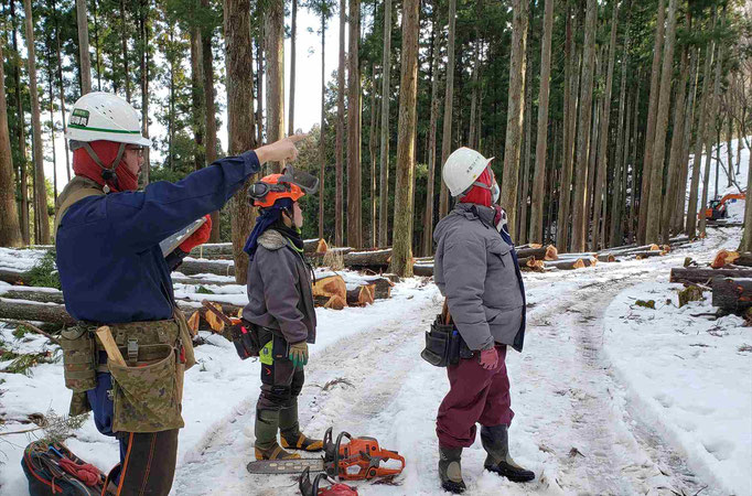 雪の中の山仕事
