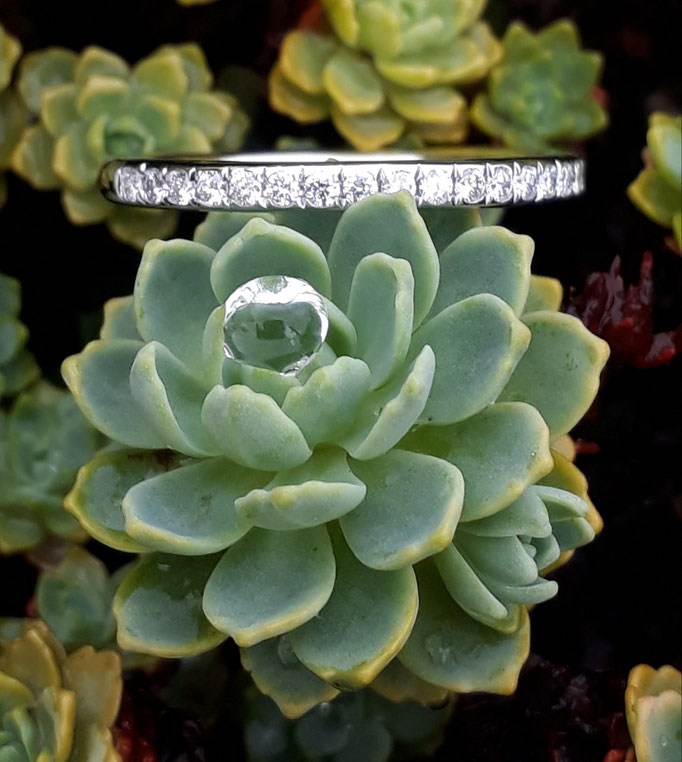 -ring-brillantring -eternityring-weissgold -gelbgold-platin jede breite jedes material moeglich