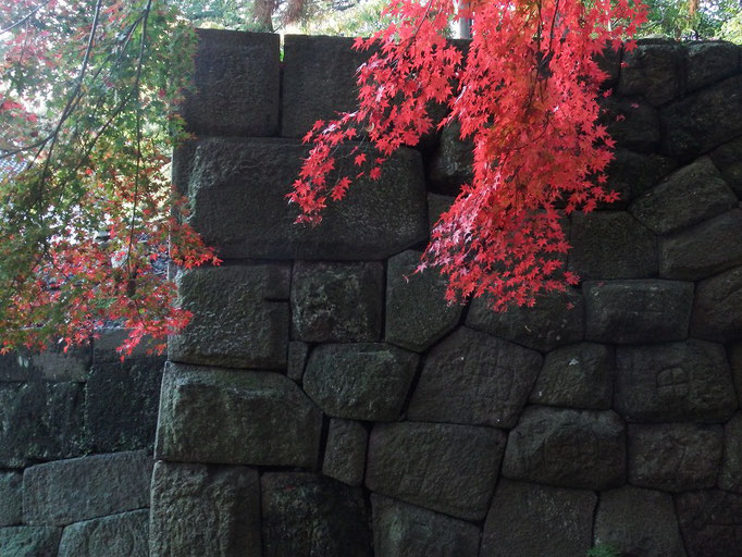金沢城　石垣と紅葉
