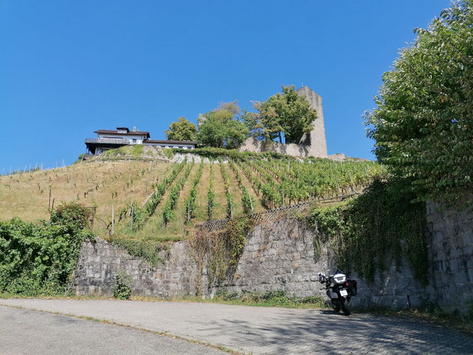 Weingebiet