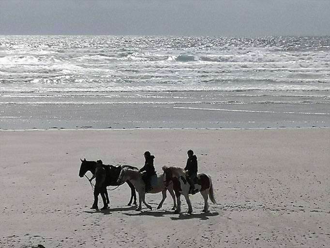 Reiten am Strand mit Begleitung