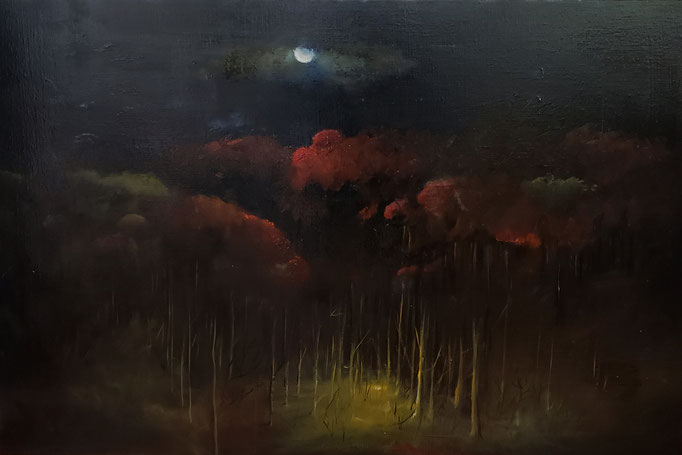 Veillée sous la lune