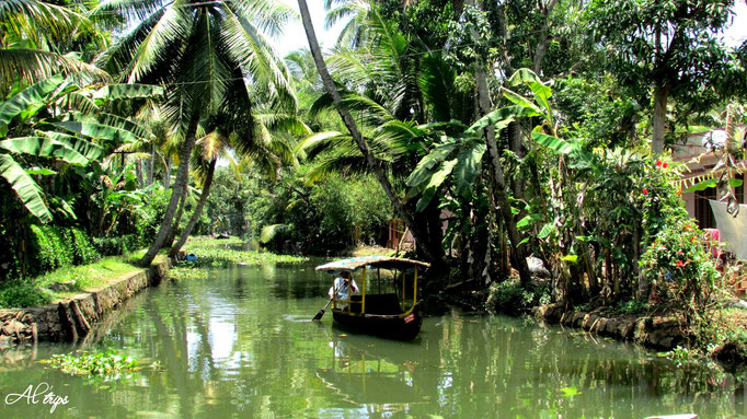 Inde - Backwaters