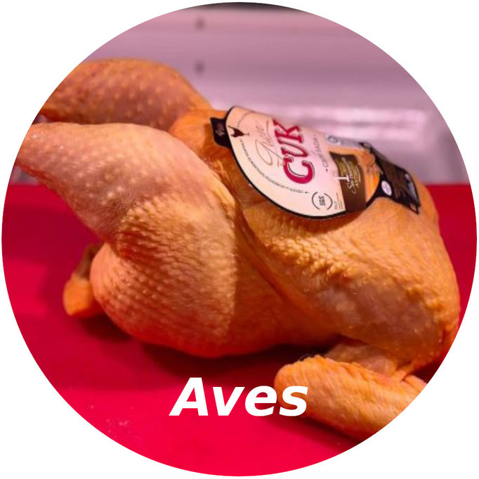 Aves
