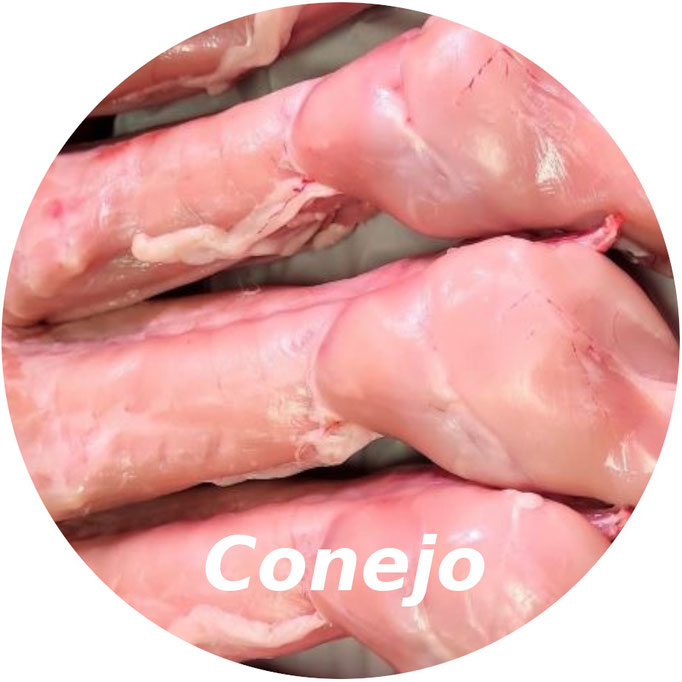 Conejo