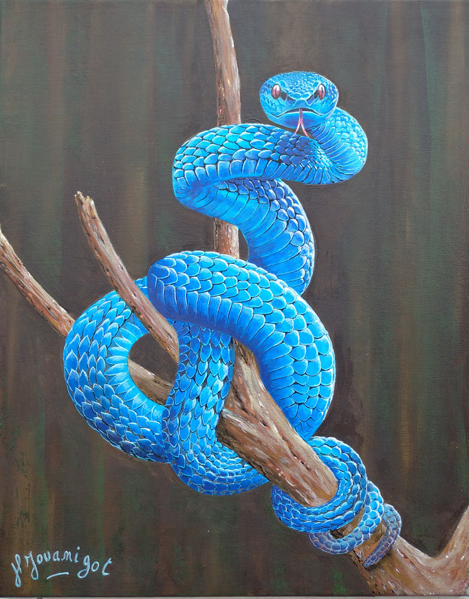 Serpent bleu