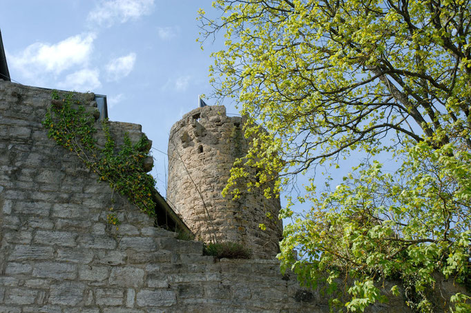 Burg Krautheim