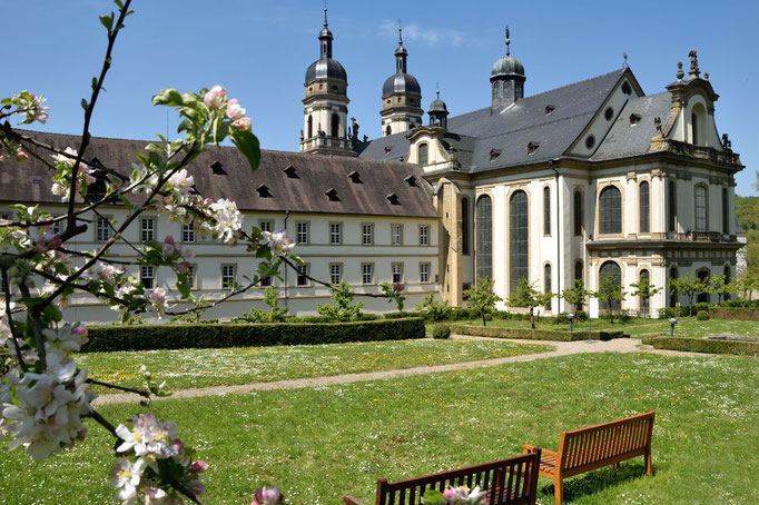 Kloster Schöntal im Frühling