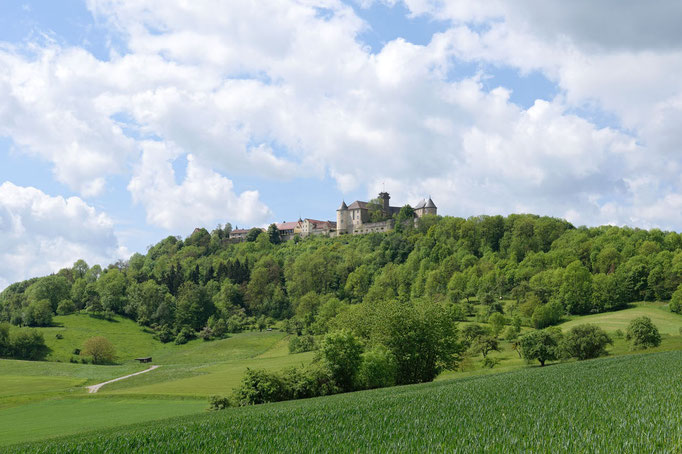 Waldenburg und Schloss