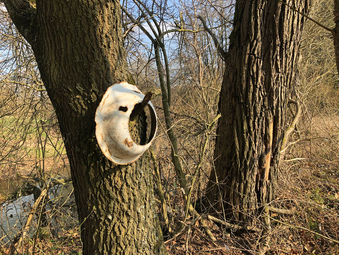 Müll am Fluss / Fliegenfischerschule-Hessen